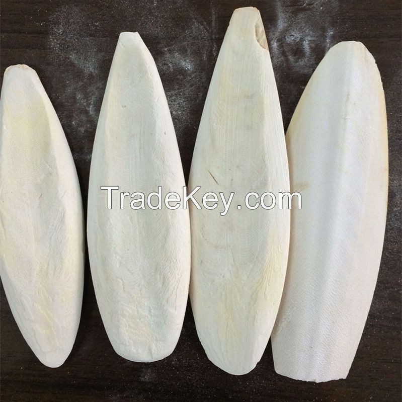 Clean Dried Trimmed Cuttlefish Bone Exported To China Cheap Price