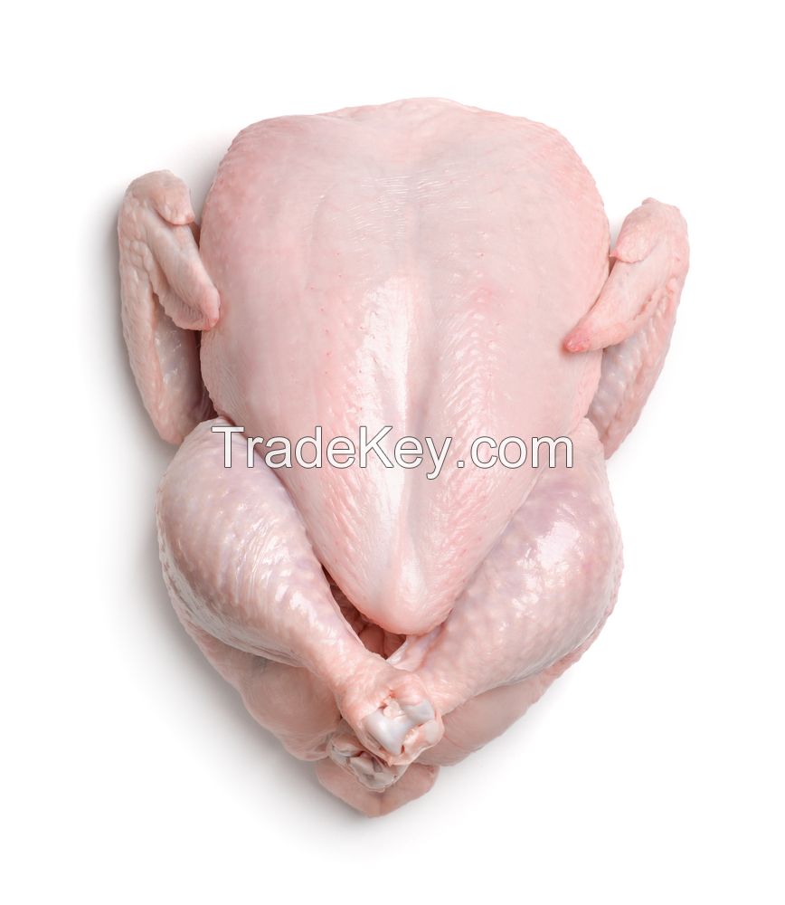 frozen halal chicken of turkey