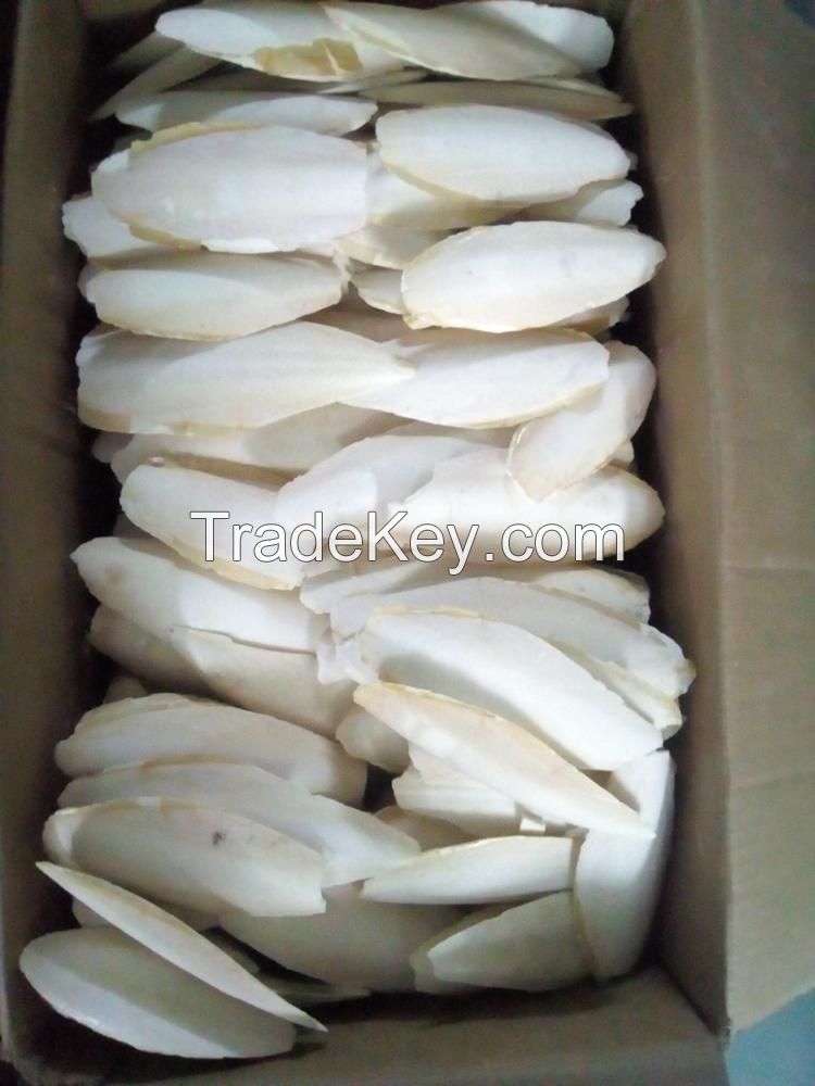 Clean Dried Trimmed Cuttlefish Bone Exported To China Cheap Price