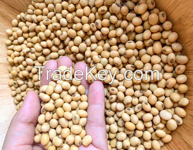 Dry Roasted Yellow Beans / Edamame / Soy Bean / Bulk Package Dried Soybean