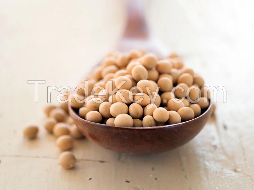 Top grade organic soybean