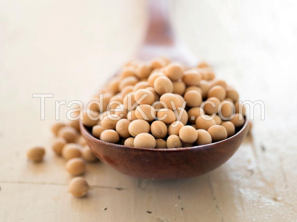 Top Quality Frozen Green Soybean