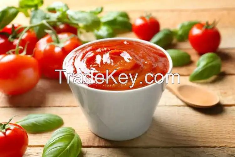 Organic Tomato Paste, Sterile Tomato Ketchup Easy Open Canned Tomato