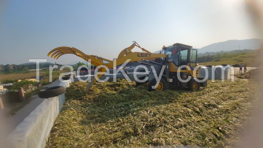 CORN SILAGE BEST PRICE FROM VIETNAM