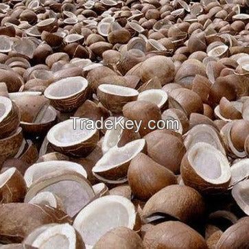dried coconut copra