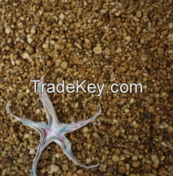 Dried Marine Star / Dried Star Fish for agriculture or or organic pepticides