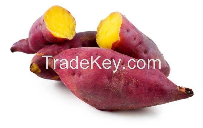 Premium Quality Sweet Potatoes