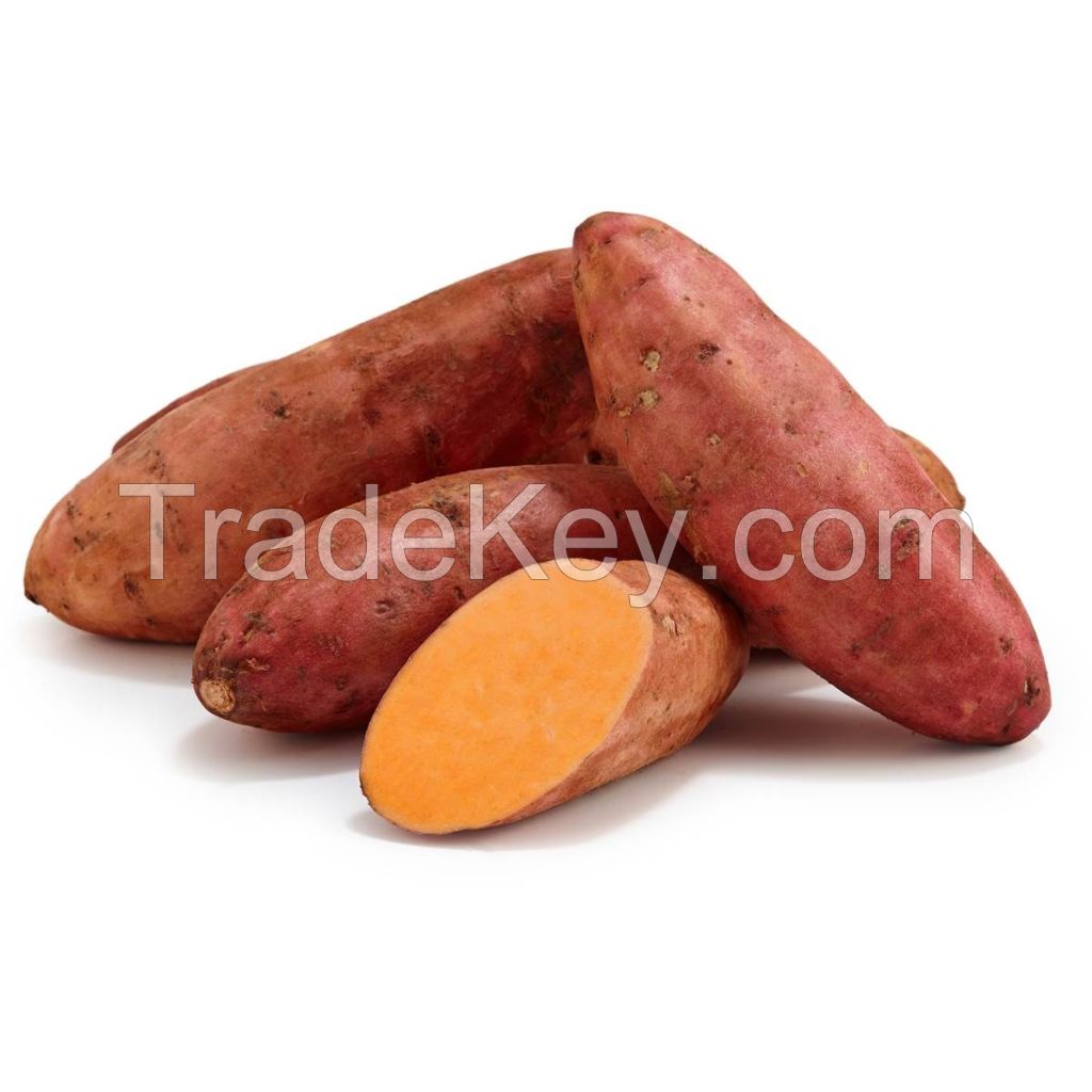 Premium Quality Sweet Potatoes