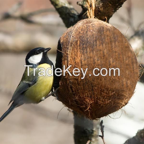 Coconut Shell Bird Feeder