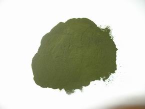 kelp powder