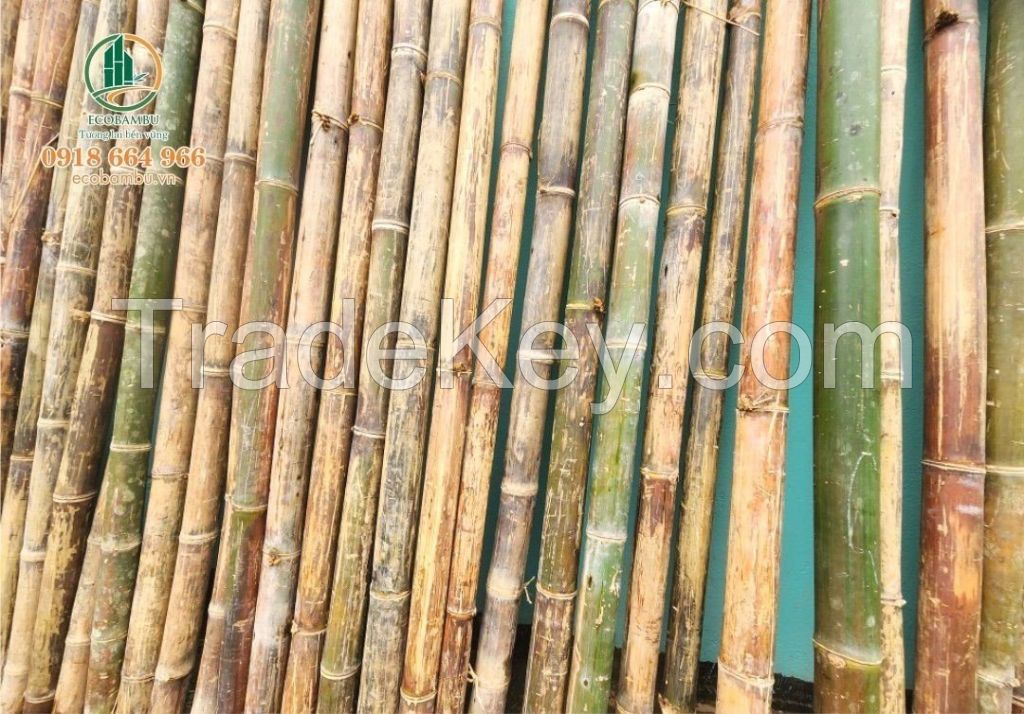 Natural Bamboo Raw Material Bamboo Stakes