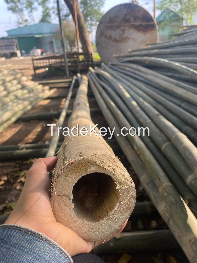 Natural Bamboo Raw Material Bamboo Stakes