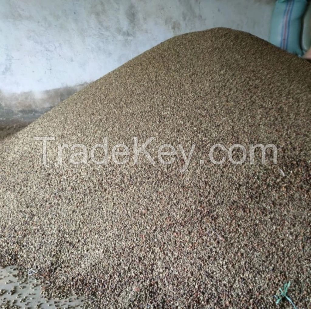 Robusta coffee beans. High grade VIP Price