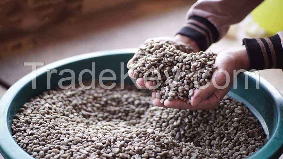 Arabica coffee beans. High grade VIP Price
