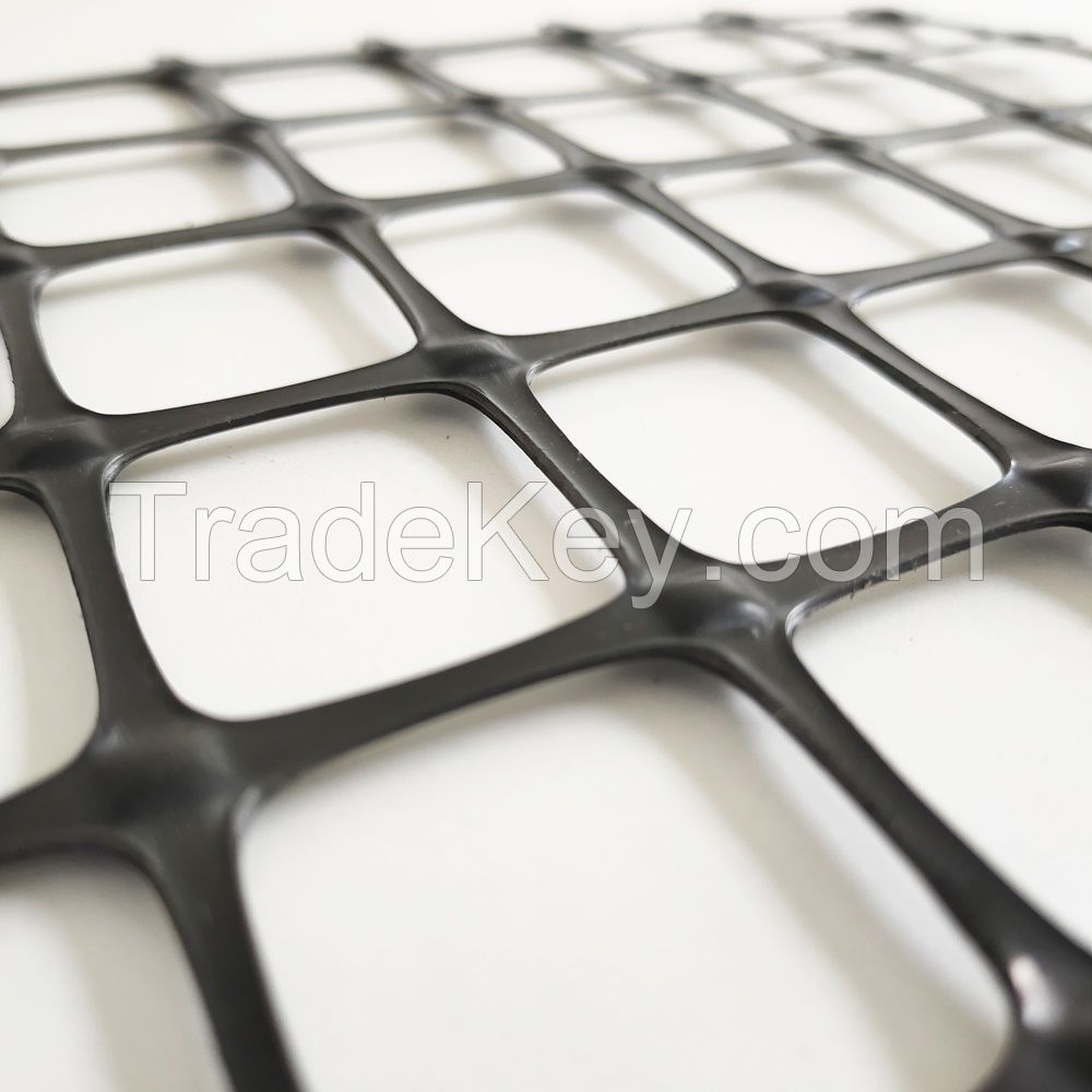 Geogrid