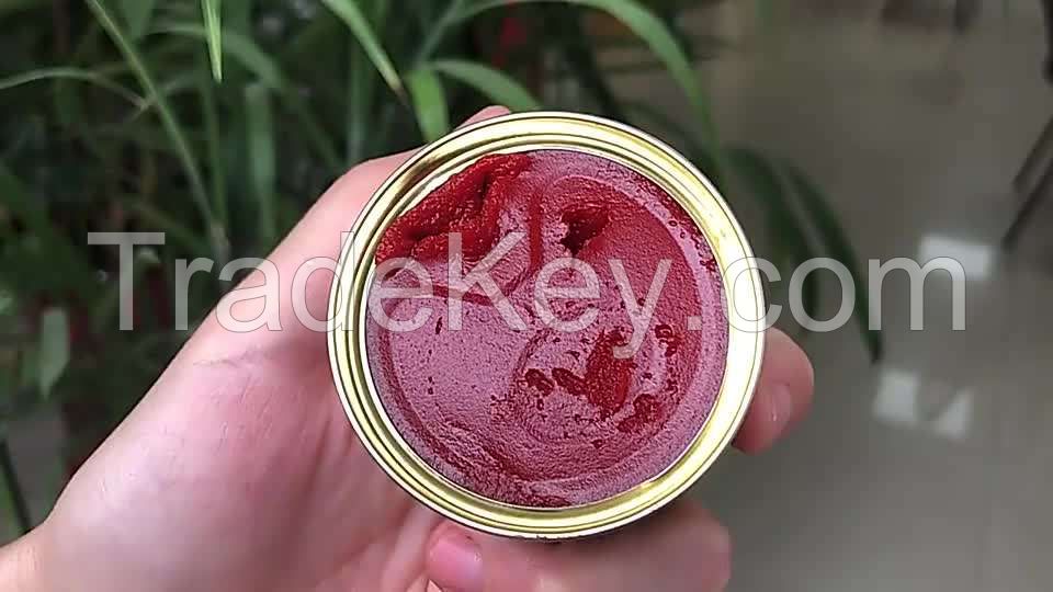 tomato paste canned organic cooking food seasoning tomato paste with good taste 28-30% brix tomato paste 2200g double concentrat
