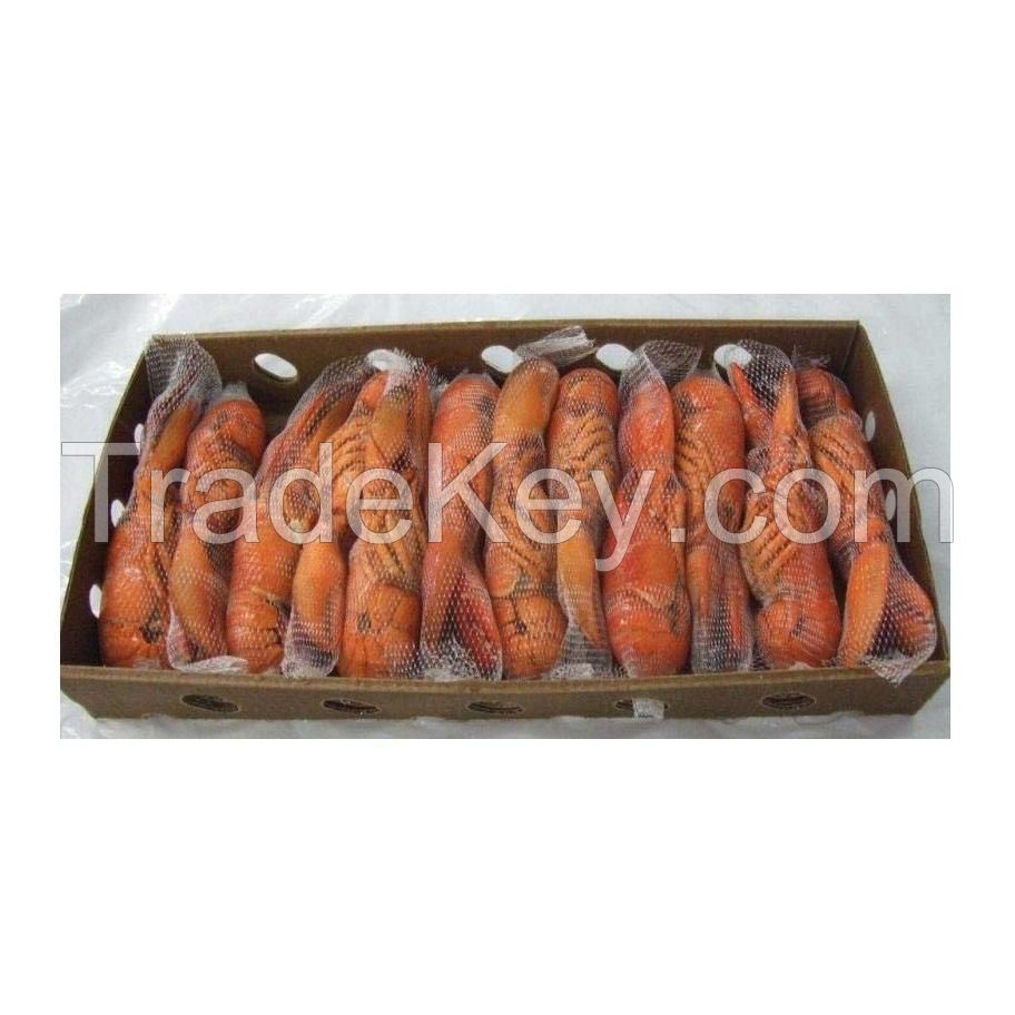 Hot Selling Frozen Lobster, Frozen Lobster Tails Fresh Live Lobsters, Canadian Bulk Style Packaging Lobsters