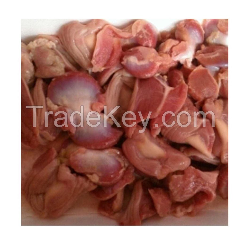 Chicken Gizzard-Chicken Liver in bulk/Processed frozen chicken Gizzard supplier/Frozen chicken breast