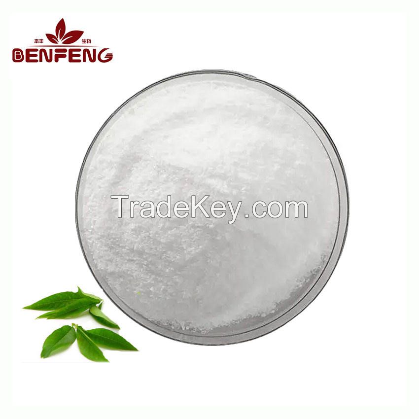 Bulk High quality Green Tea Extract Powder Natural 99% Organic L-theanine Powder