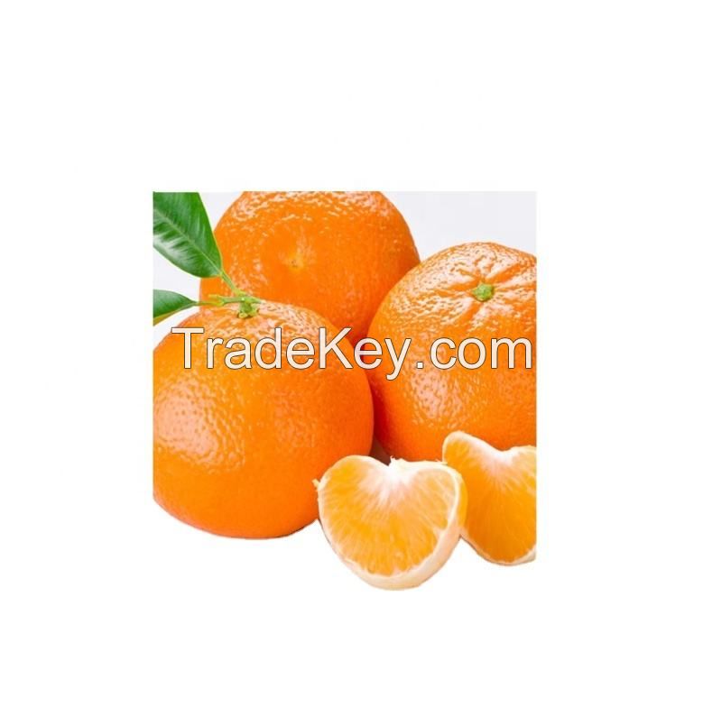 fresh orange buyers fresh mandarin orange	for sale wholesale delicious sweet fresh citrus oranges blood orange for sale