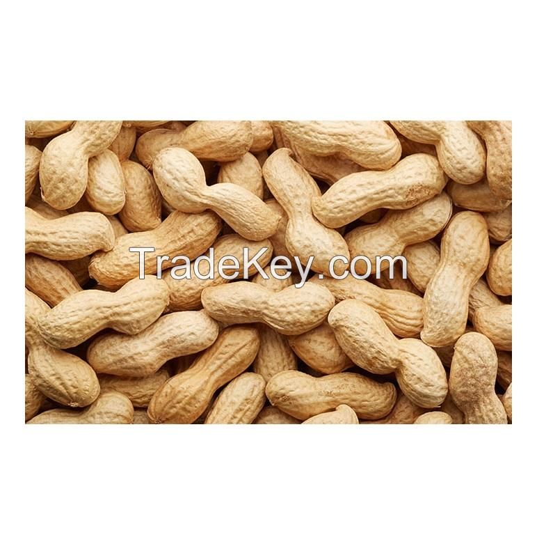 High Quality Raw Peanuts Without Shell Raw Peanuts Blanched Peanut Kernels
