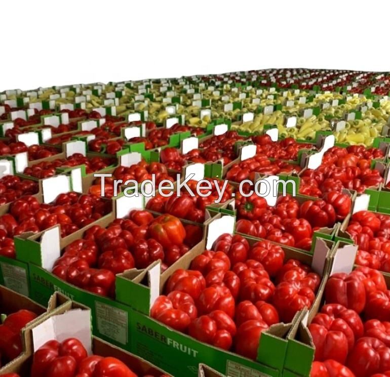Style Color Weight Pepper Origin Type Size Fresh capsicum bell pepper sweet chinese yellow green sweet pepper seed red chili