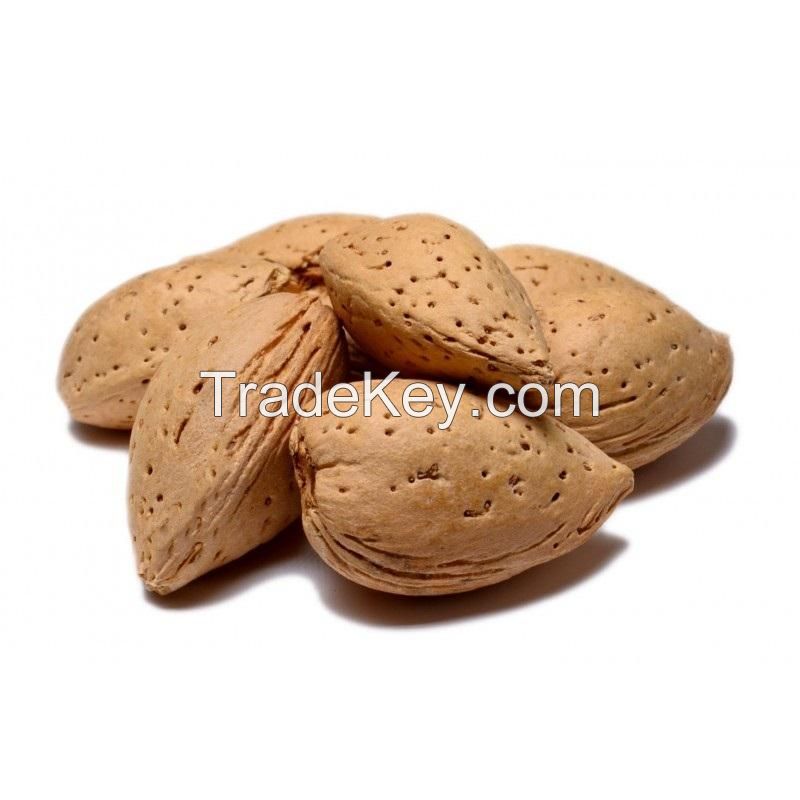 Semi Hard Almonds In Shell -Human Grade Almonds Nuts