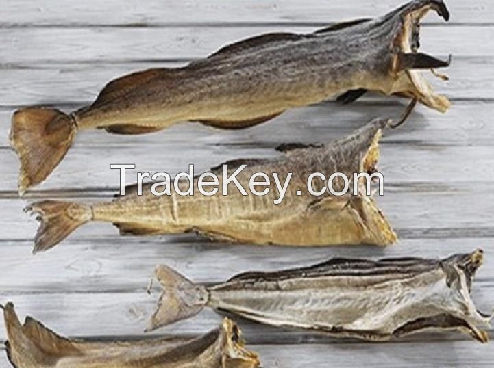 stock fish dried cod norway nutritious all dry fish wholesalers packaging package weight buyers for dried fish maw