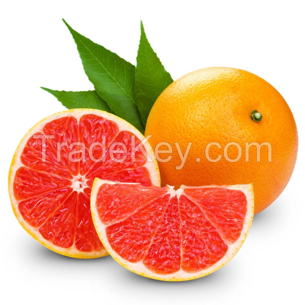 best selling fresh citrus fruit canned oranges OEM sweet style grapefruits fresh dark red grapefruit for sale