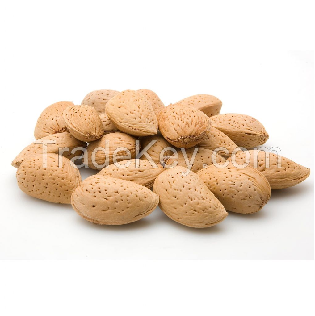 Semi Hard Almonds In Shell -Human Grade Almonds Nuts