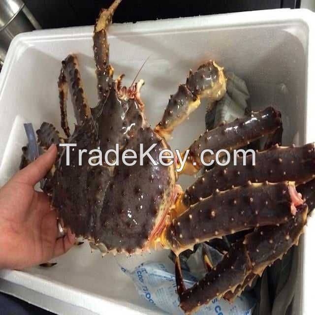 live canadian red king crabs frozen king meat whole foods meat tin crab bulk supplier canadian red king crabs