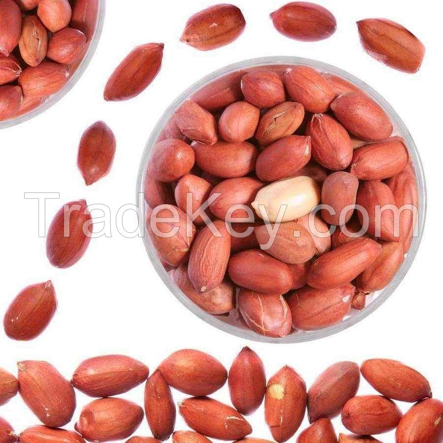 100% natural color rich nutrition peanuts export packing boxes Iqf frozen bulk style time storage packaging food peanut
