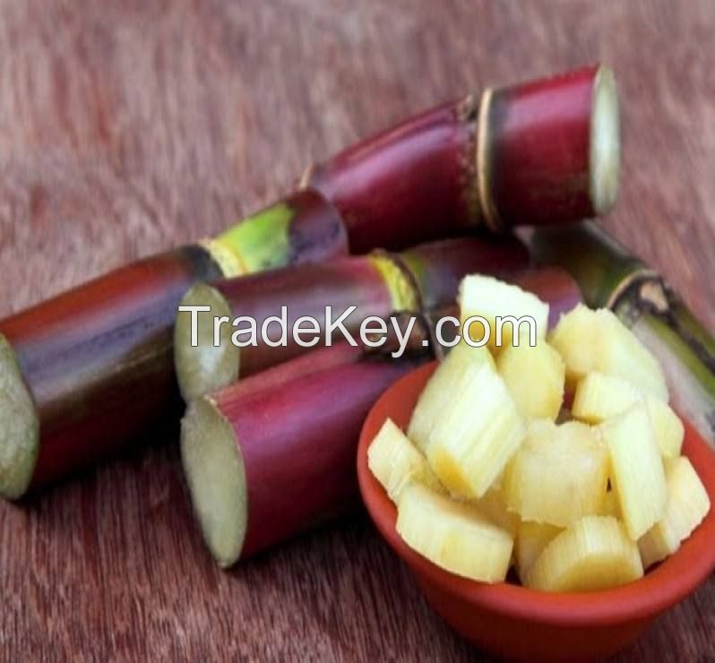 sugarcane molasses Wholesale rich in taste and nutritious sugarcane flavour for sale sugar  molasses sugarcane