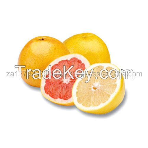 best selling fresh citrus fruit canned oranges OEM sweet style grapefruits fresh dark red grapefruit for sale