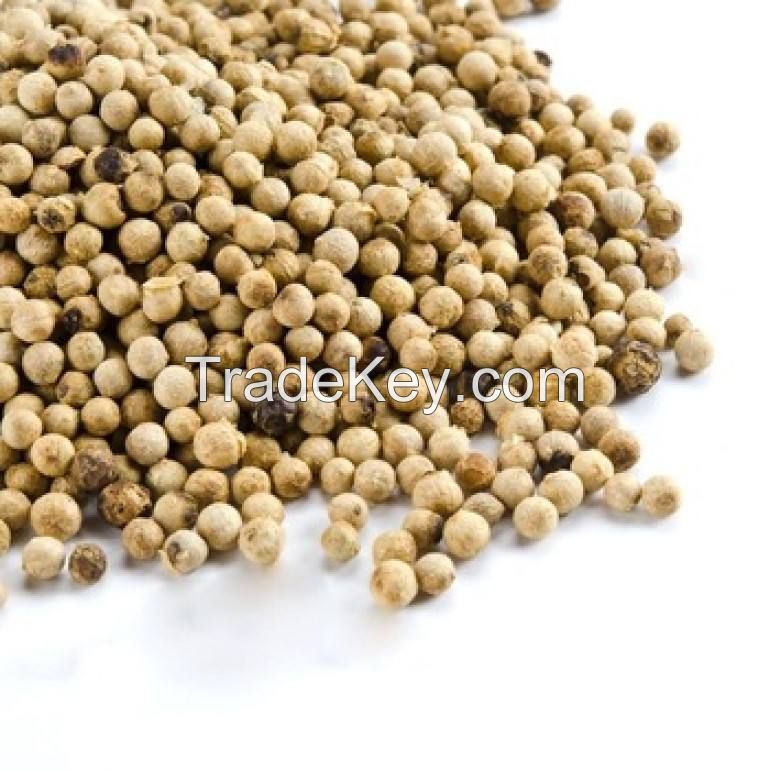 black pepper seeds for sale black pepper 550gl/ 500gl bulk black pepper dried spice from south Africa with cheap price for sale