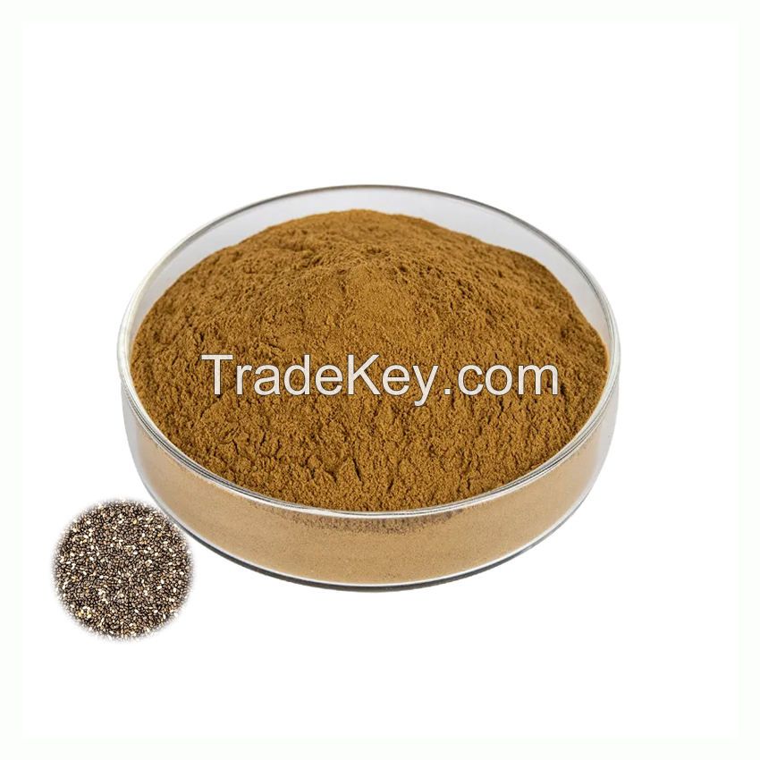 High Quality Salvia Hispanica Seed Extract Pure Natural Chia Seed Extract Powder