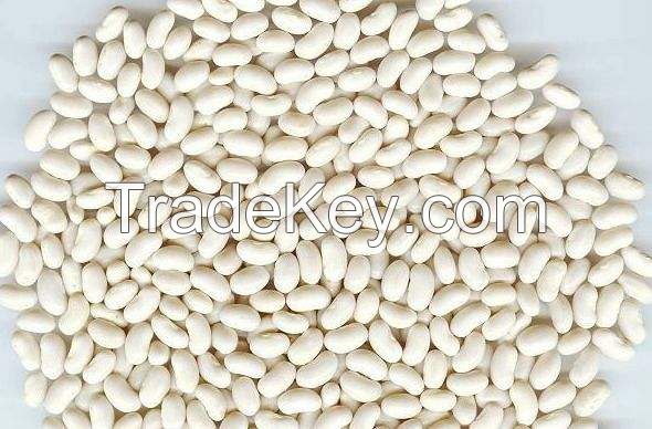 Natural White kidney Beans Seeds.