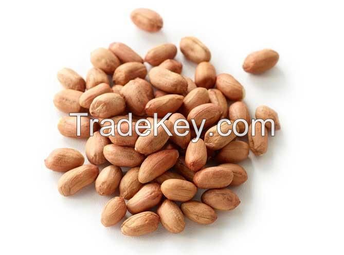 coated roasted peanuts no additives dried 100% natural peanut with best bulk suppliers shell raw peanuts prices
