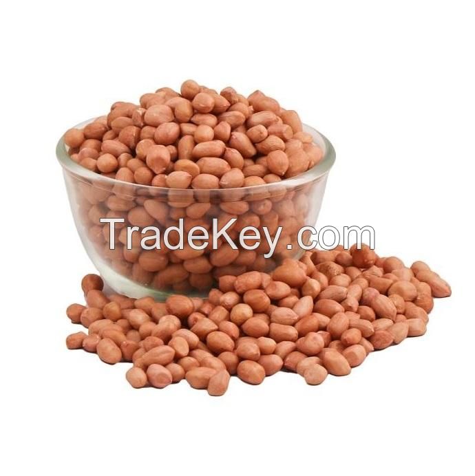 High Quality Raw Peanuts Without Shell Raw Peanuts Blanched Peanut Kernels
