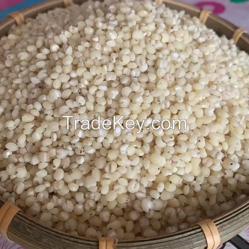 supply cheap price vacuum Packed Red White Sorghum Rice packing in bags sweet  australia sorghum sorghum non gmo