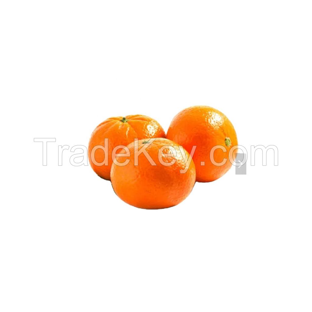 Orange OEM Style Organic Color Weight Origin Type Full Size Grade Product ISO Fresh Fruit Place Model Citrus Maturity HSCODE