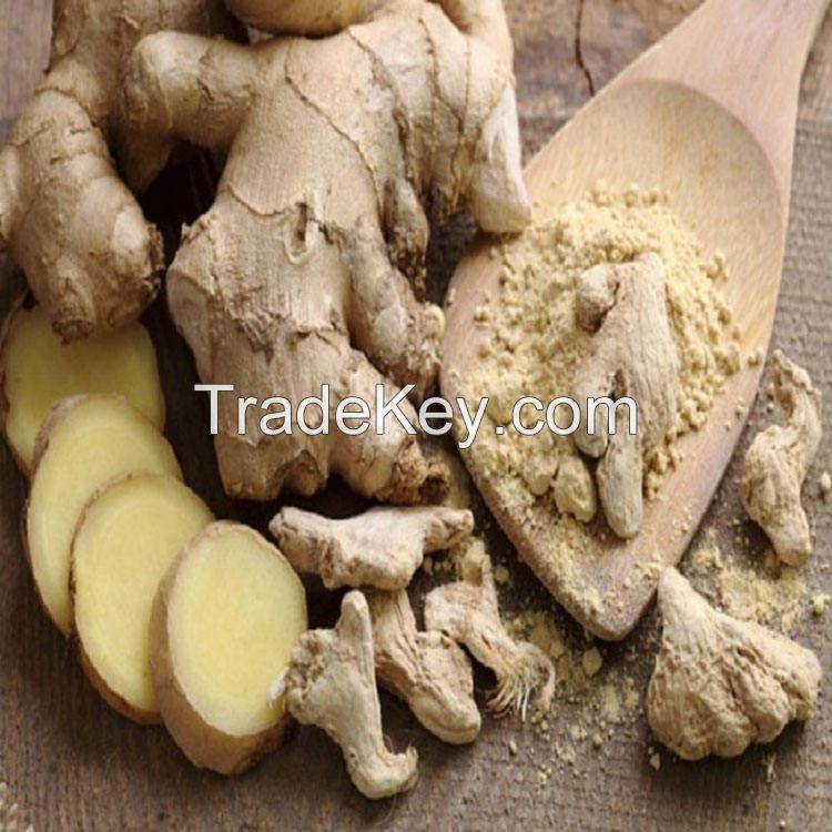 bulk mature ale ginger market price cheap for high quality packing in bags chinese mature super ginger