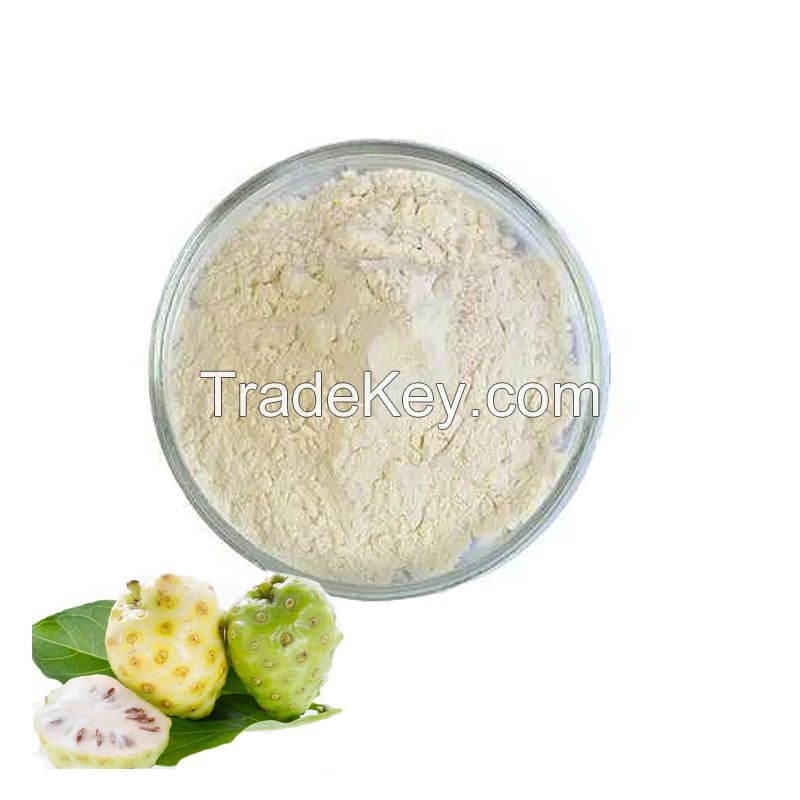 High Quality Factory Price Noni Fruit Juice Powder Bulk Noni Fruit Powder