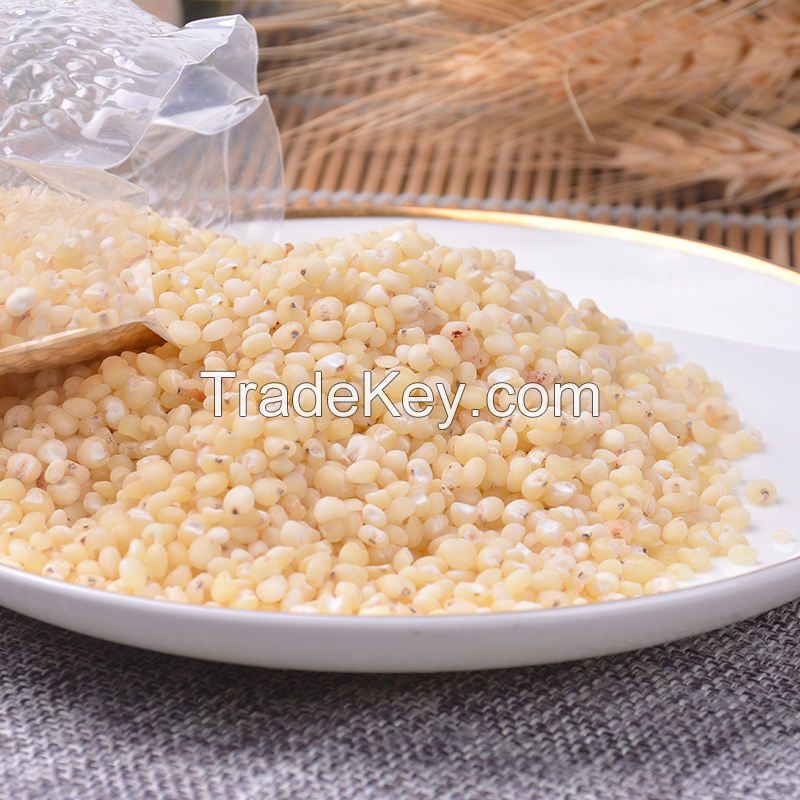 supply cheap price vacuum Packed Red White Sorghum Rice packing in bags sweet  australia sorghum sorghum non gmo