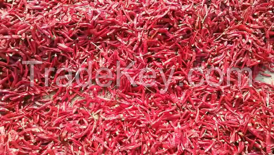 habanero fresh pure capsaicin red chili pepper for sale packing in bags chili pepper red chili powder spices mixed yellow bag