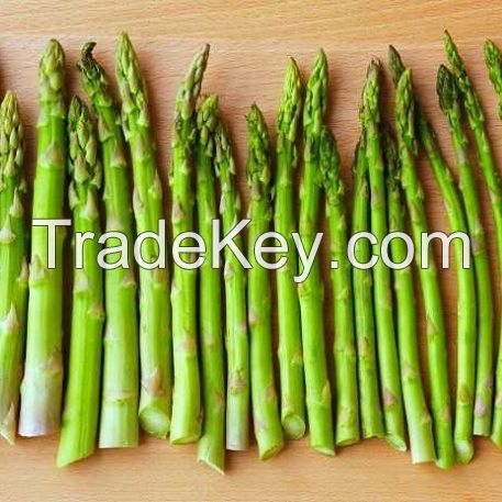 vegetable asparagus frozen green asparagus packing in bulk for sale bulk supplier vegetable asparagus