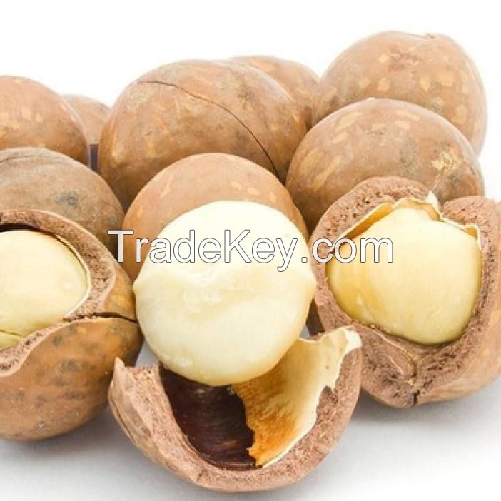 macadamia nuts South Africa Top quality best-selling organic macadamia nuts price raw organic  macadamia nut shell