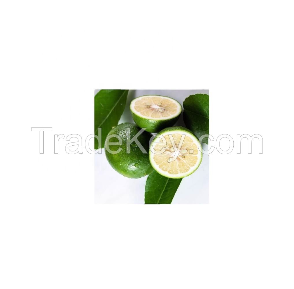 Premium Fresh Lemons - Zesty Citrus Fruit, Wholesale Supplier