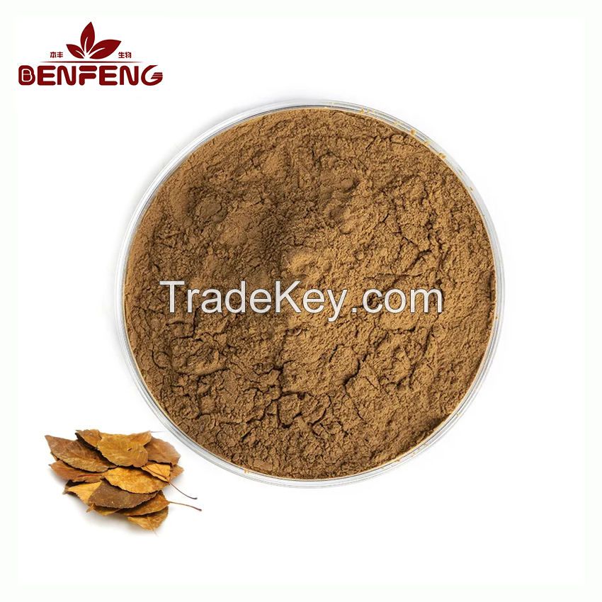 ISO Certification Hawthorn Leaf Powder Pure Natural 10:1 Hawthorn Leaf Extract