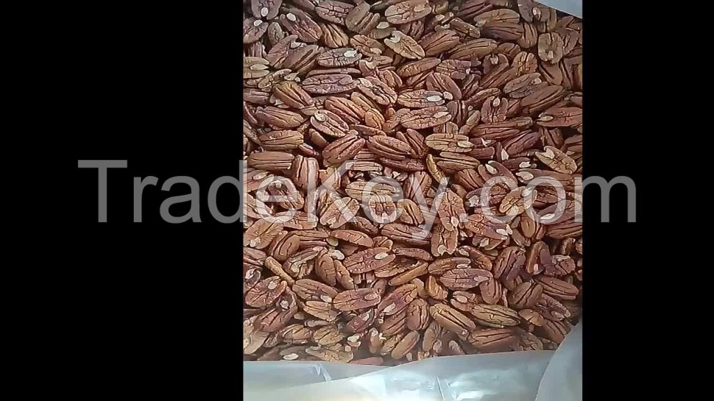 Pecan Nuts Pecana High Quality Fresh Peeled high quality pecan nut to export for human consumption pecan nut suppliers